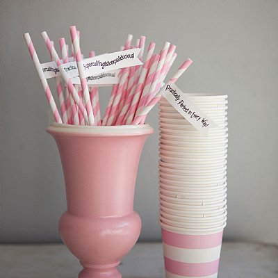 Jolly Holiday Straw and Pennant Kit