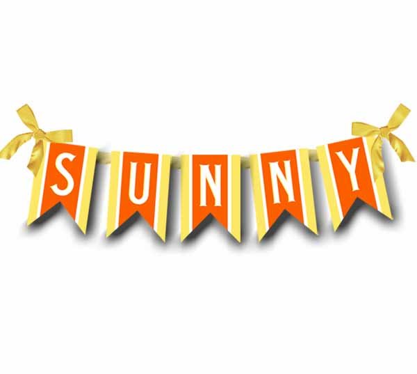 Sunshine Birthday Custom Banner