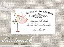 Special Delivery Welcome Baby Tags