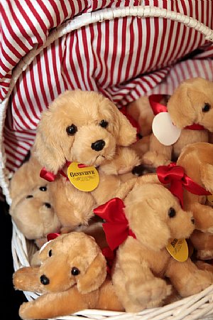 Little Madeline Puppy Tags