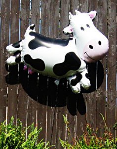 cowballoon