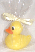 duck-lrg