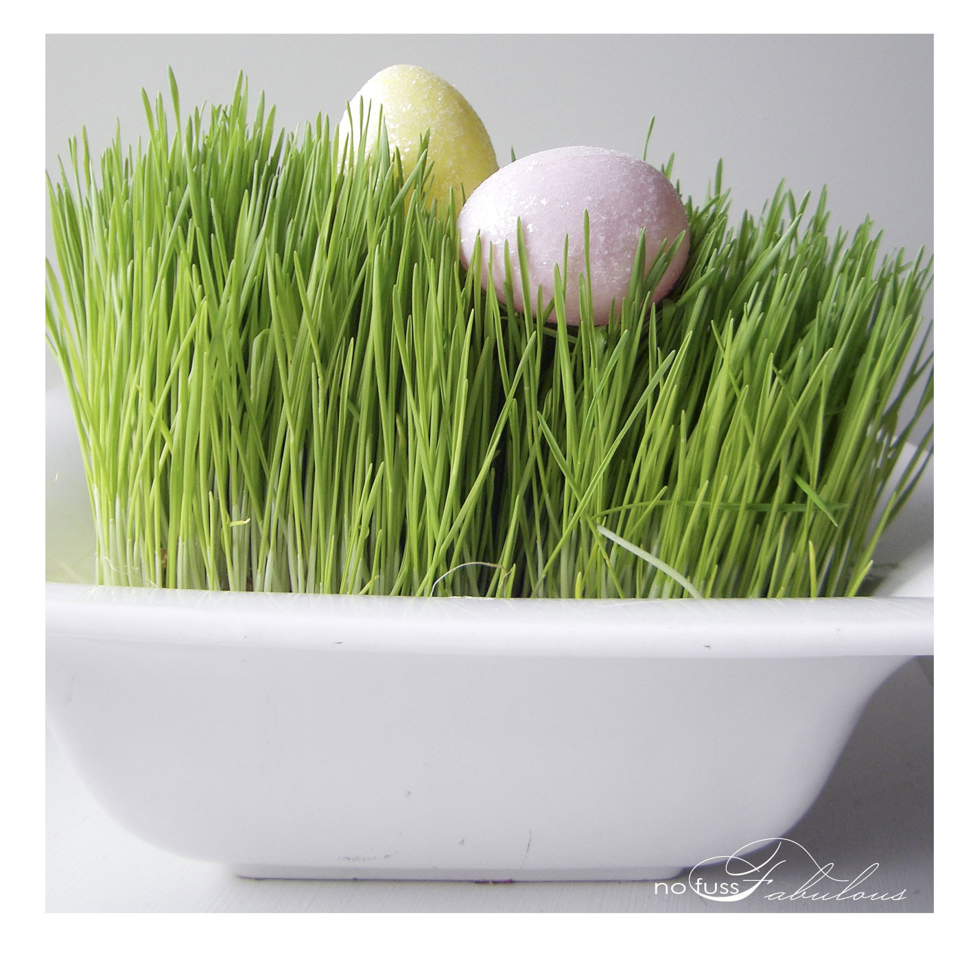 Get your Easter grass growing! Here's how to sprout this holiday staple