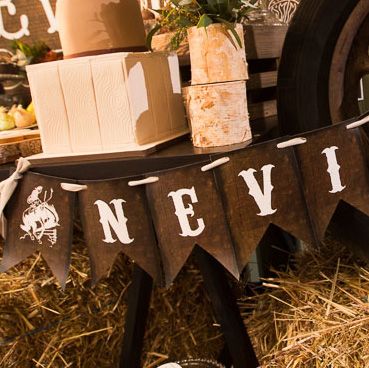 Western Collection Double Pennant Banner