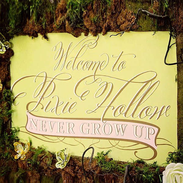 11x14  "Welcome to Pixie Hollow" Sign
