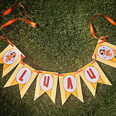 Aloha Luau Pennant Banner