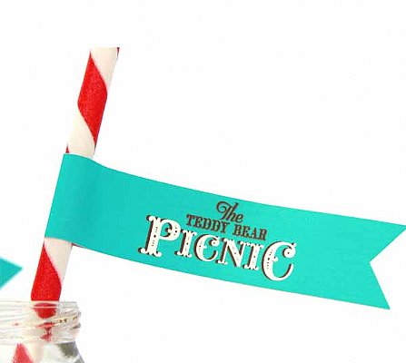 Teddy Bear Picnic Straw and Pennant Set