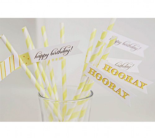 Birthday Bear Straw and Pennant Kit