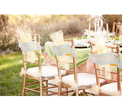 Princess and the Frog Chair Back Scroll Signs (Set of 6)
