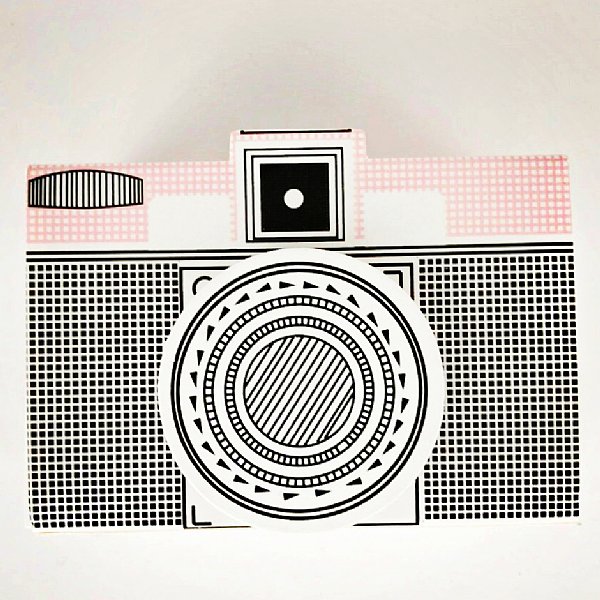 Paris Collection Camera Favor Boxes