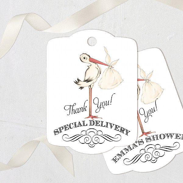 Special Delivery Favor Tags
