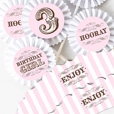 French Parlour Pink Birthday Cupcake Kit 