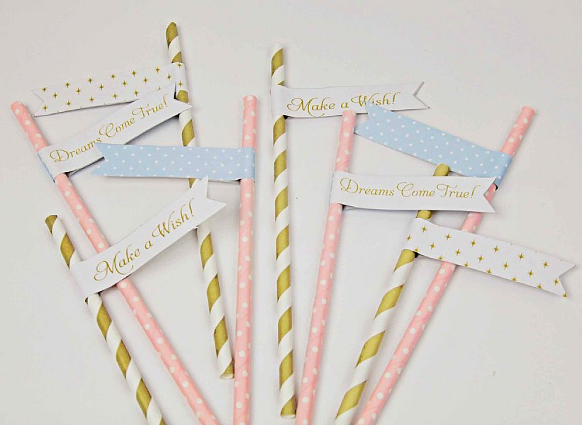 Cinderella Princess Straw Pennant Kit