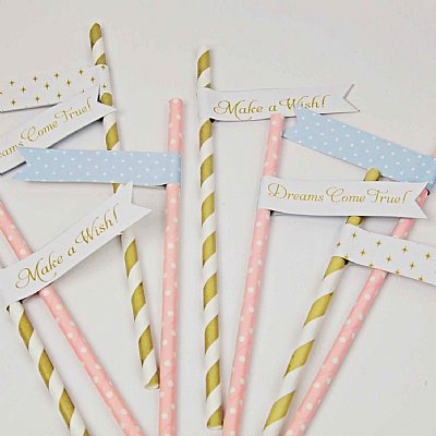 Cinderella Princess Straw Pennant Kit