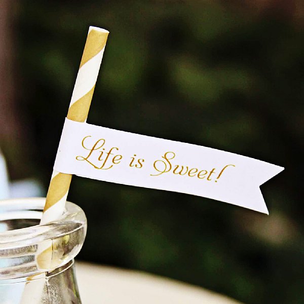 Swan Lake "Life is Sweet" Straw and Pennant Kit