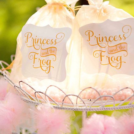 Princess and the Frog Extra Large Luxe Stickers