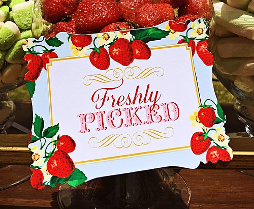 Berry Sweet Buffet & Party Signs