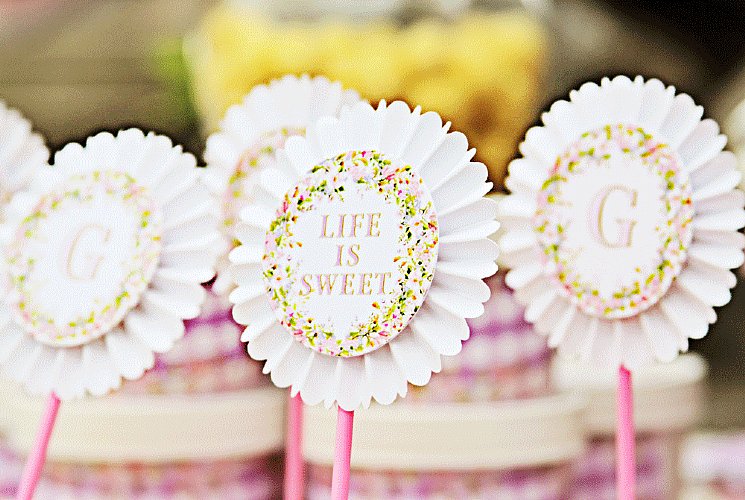 Spring Blooms Monogram Cupcake Kit