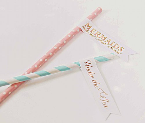 Mermaid Straw Pennant Kit