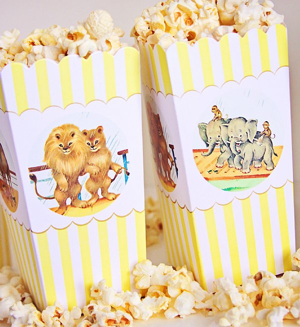 Noah's Ark Popcorn Boxes