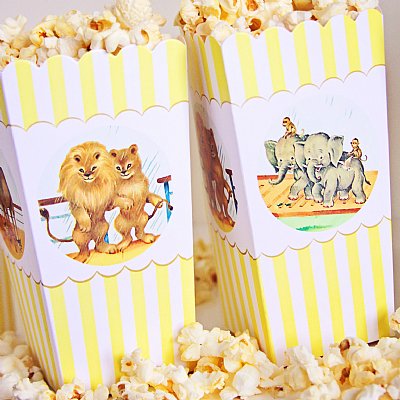 Noah's Ark Popcorn Boxes