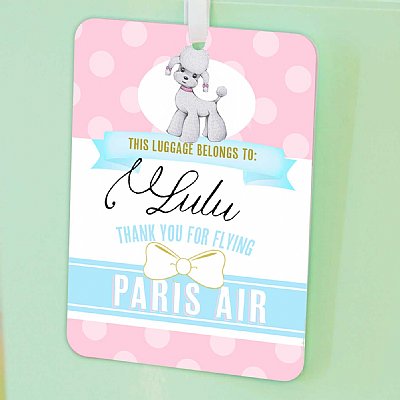 Paris Luggage Tags