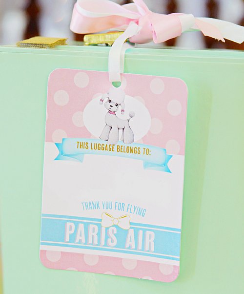 Paris Luggage Tags