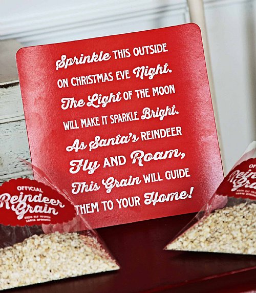 Reindeer Grain Kit