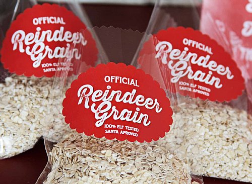 Reindeer Grain Kit