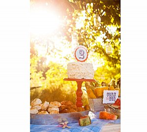 American Picnic Rosette Banner