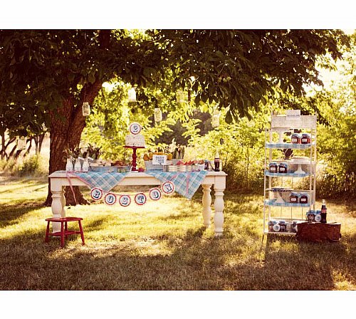 American Picnic Rosette Banner