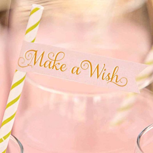 Princess and the Frog "Make a Wish!" Straw and Pennant Kit