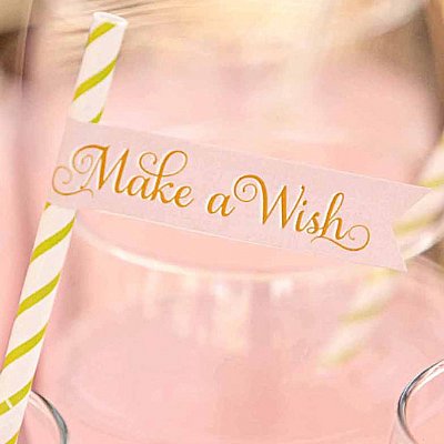 Princess and the Frog "Make a Wish!" Straw and Pennant Kit
