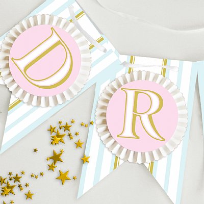 Swan Lake  Rosette Pennant Banner